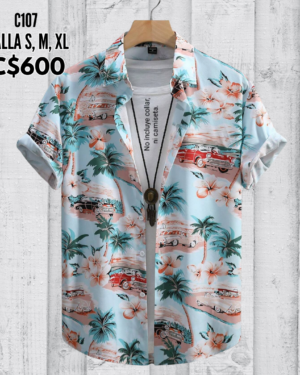 Camisa de vestir.--C107